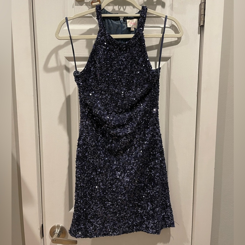 Parker Audrey sequin Dress